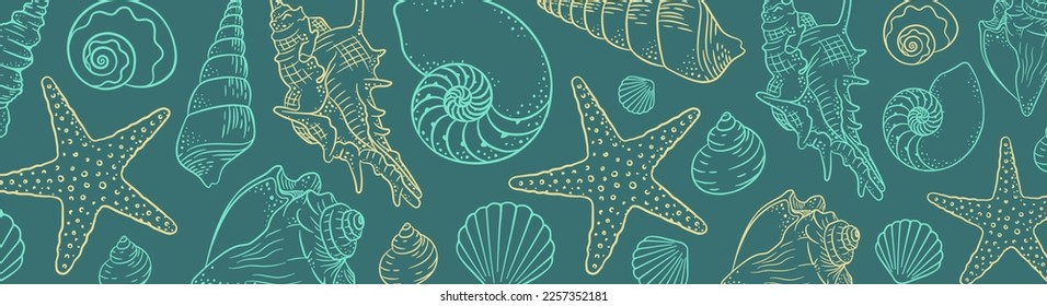 Summer time horizontal banner background. Hand drawn sea shells and stars collection. Marine illustration of ocean shellfish
