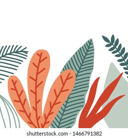 Summer time illustration. Botanic plants, exotic leaves. Tropical banner with jungle leaves and palm fronds for your design.