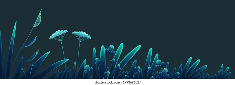 Summer time at night, navy blue background. Plants of fields and forests close-up. Vector vintage botanical illustration. Meadow grass, dandelion, chamomile, tansy. Medicinal plants. Flat vector