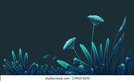 Summer time at night, navy blue background. Plants of fields and forests close-up. Vector vintage botanical illustration. Meadow grass, dandelion, chamomile, tansy. Medicinal plants. Flat vector