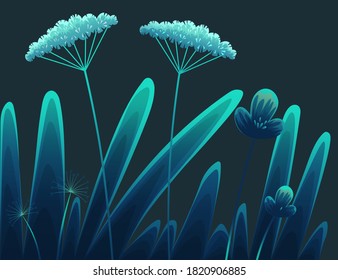 Summer time at night, navy blue background. Plants of fields and forests close-up. Vector vintage botanical illustration. Meadow grass, dandelion, chamomile, tansy. Medicinal plants. Flat vector