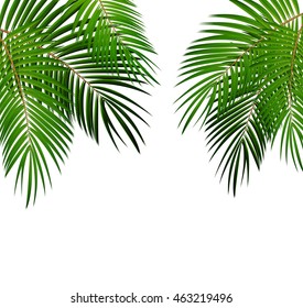 Summer Time Palm Leaf Seaside Vector Background Illustration EPS10