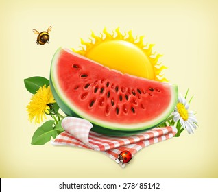 Summer, time for a picnic, watermelon, nature, outdoor recreation, a tablecloth and sun behind, grass, flowers of chamomile and dandelion, vector illustration showing the summertime