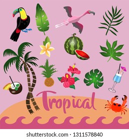 Summer time.  set of tropical elements vector image
