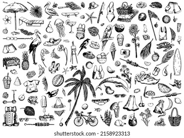 Summer time sketches collection. Drawings set of animals, plants, leisure accesories, clothing, foods. Hand drawn vector illustrations. Cliparts isolated on white.