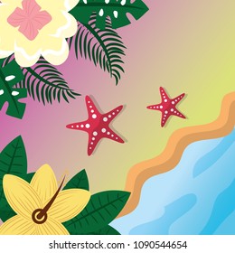 summer time tropical