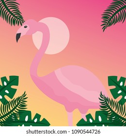 summer time tropical