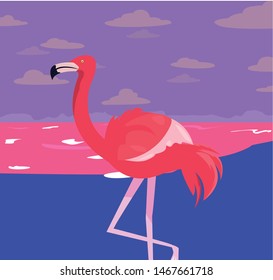 summer time vacations design vector ilustration