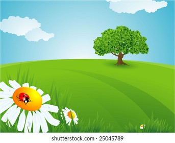 Summer time. Vector background.