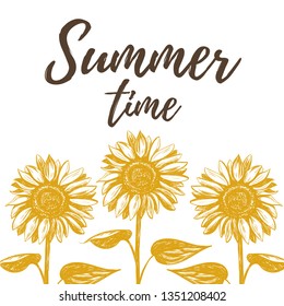Summer time vector illustration with sunflowers