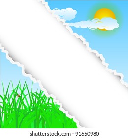 summer torn background with place for your text. Vector illustration