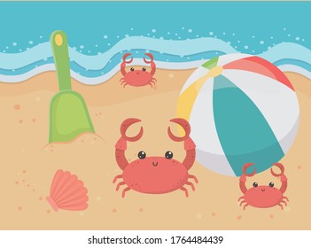 summer travel and vacation beach ball crabs shell shovel sea vector illustration