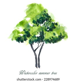 Summer tree. Summer background. Watercolor illustration.