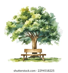 Summer tree with a bench underneath in watercolor