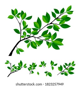 Summer tree branch with fresh green leaves. Vector illustration