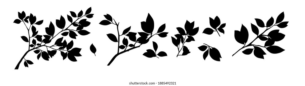 Summer tree branch with monochrome leaves. Vector illustration