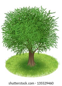 Summer Tree in green field, illustration