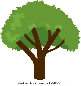 Summer tree with green foliage on a white background