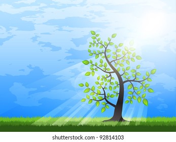 Summer tree at green grass with sunlight passing through the branches. Vector art.