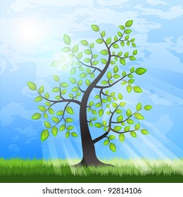 Summer tree at green grass with sunlight passing through the branches. Vector art.