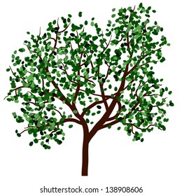 Summer tree with green leaves. EPS 10 vector illustration.