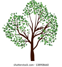 Summer tree with green leaves. EPS 10 vector illustration.