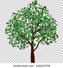 Summer tree with green leaves. EPS 10 vector illustration.