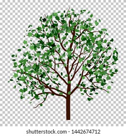 Summer tree with green leaves. EPS 10 vector illustration.
