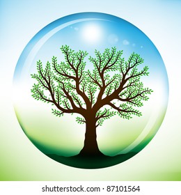 Summer tree with green leaves, growing inside a glass sphere