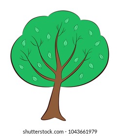 Summer tree with green leaves isolated on white background