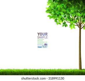 Summer tree with green leaves on the glade.