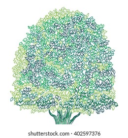 Summer tree illustration