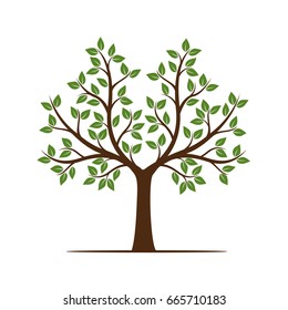 Summer Tree with Leaves. Vector Illustration.