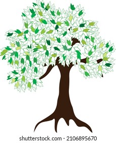 Summer tree on the white background