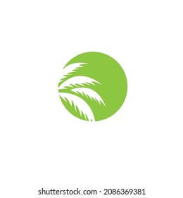 summer tree palm logo icon vector template.