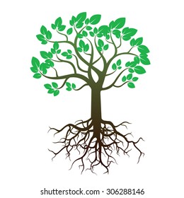 Summer Tree and Roots. Vector Illustration.