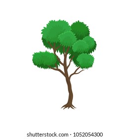 Summer tree vector Illustration on a white background