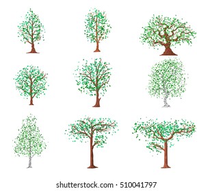 summer trees. Isolated on a white background.