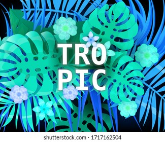 Summer trendy neon tropical leaves exotical plants palm jungle leaf. Trending colors on dark background template banner. Vector illustration isolated