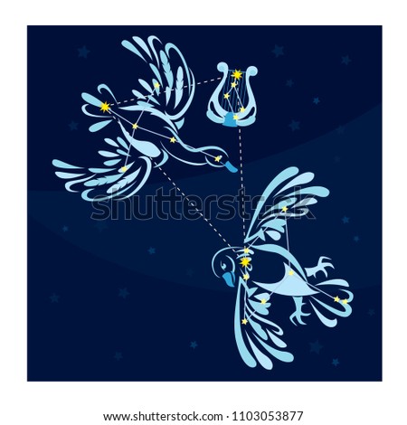 Summer Triangel  At Night