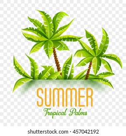 Summer tropic coconut palms in jungle forest tropical plants green leaves nature fragment 3d effect shadows copyspace design layout travel concept vector illustration isolated on white