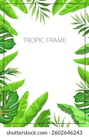 Summer tropic frame. Jungle background with palm leaves. Botanic illustration..