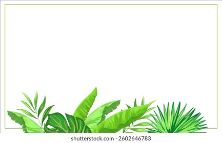 Summer tropic frame. Jungle background with palm leaves. Botanic illustration..