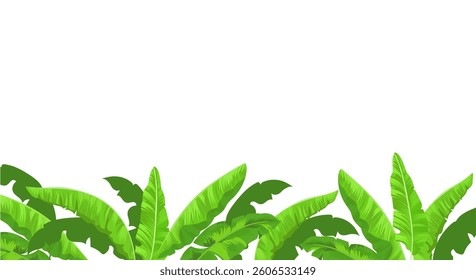 Summer tropic frame. Jungle background with palm leaves. Botanic illustration.