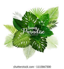 Summer tropical adventure poster with green leaf of palm. Exotic tree and plant foliage banner for hawaiian vacation or paradise holidays beach party design with fern, monstera, fan and areca palm