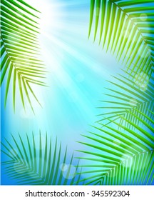 Summer tropical background