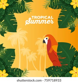 summer tropical background 