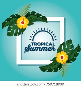 summer tropical background 