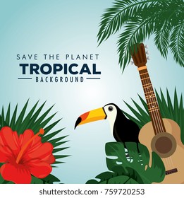 summer tropical background 