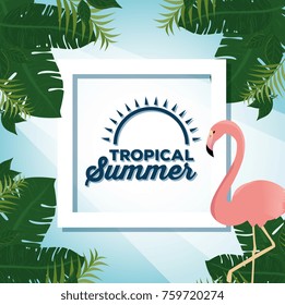 summer tropical background 